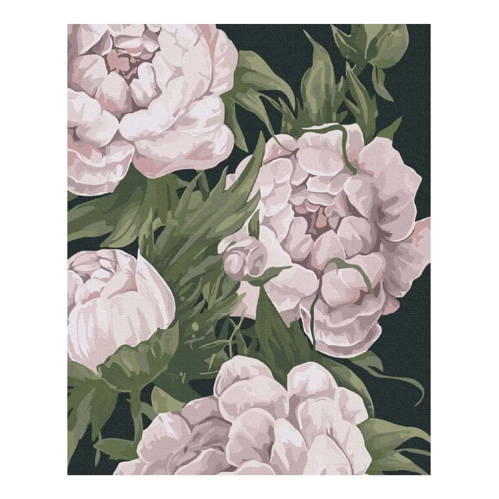 Numeromaalaus v.punaiset pionit